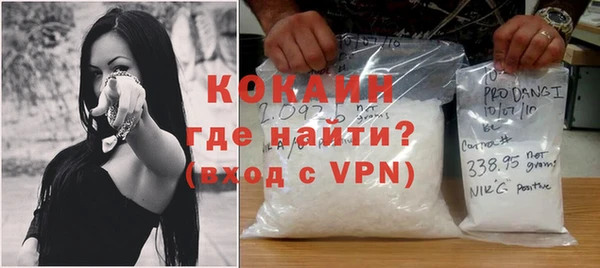 ПСИЛОЦИБИНОВЫЕ ГРИБЫ Арсеньев
