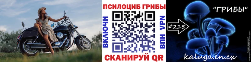 omg зеркало  Сортавала  Галлюциногенные грибы мицелий 